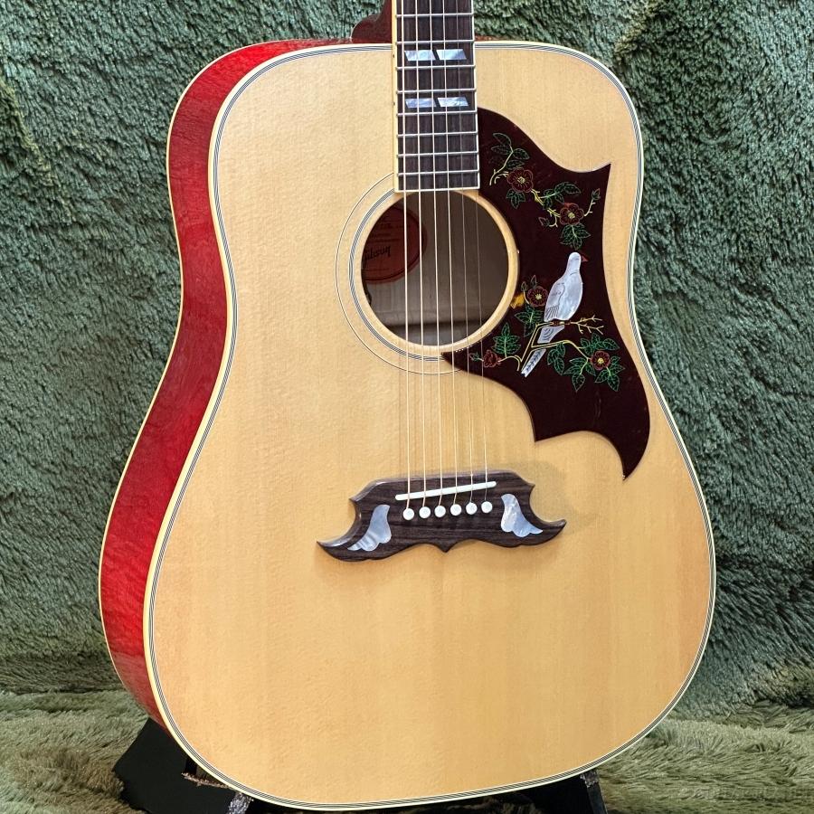 Gibson（ギブソン） Gibson / Dove Original -Antique Natural