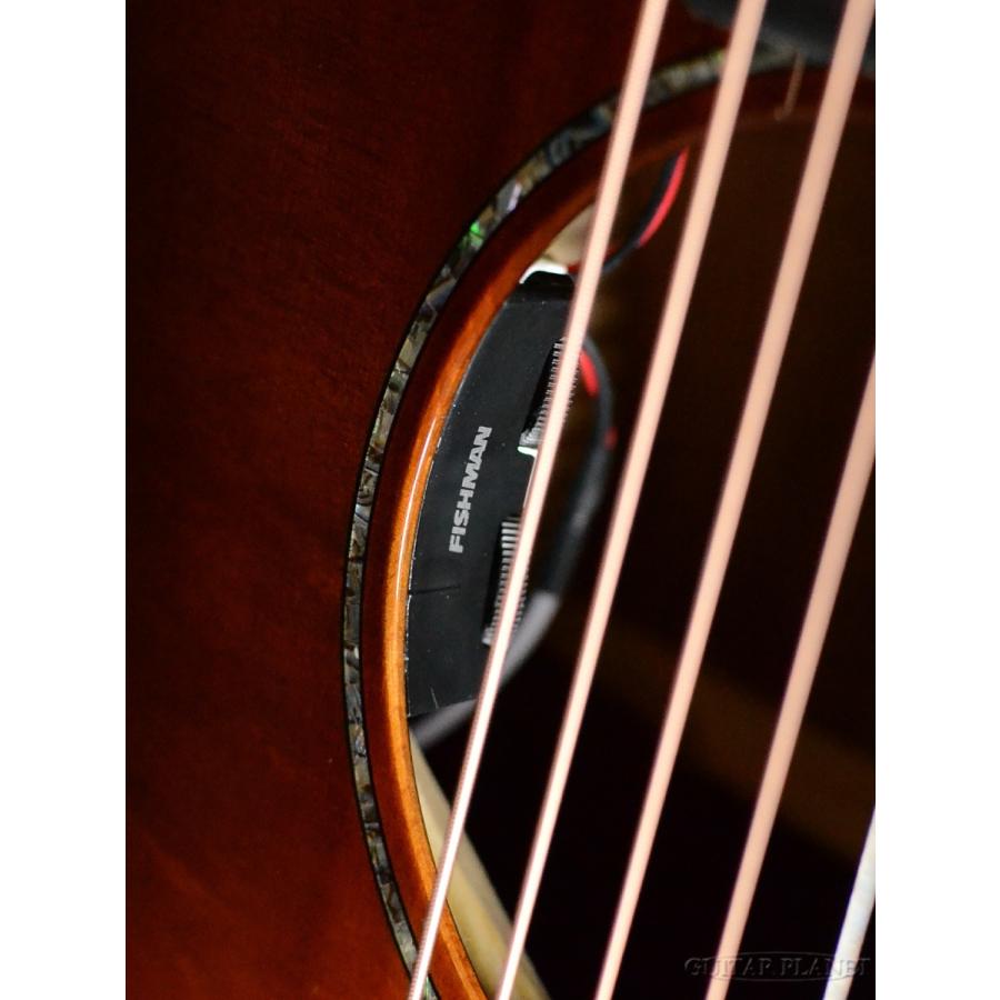 Headway Japan Tune-Up Series HGAF-5090SE/C Sunburst(SB)《アコギ