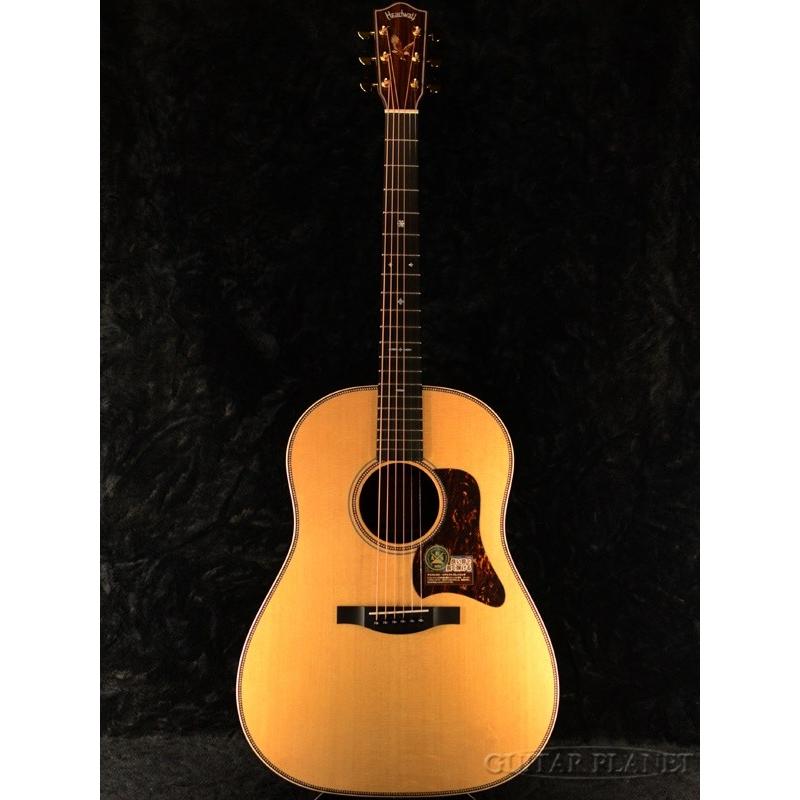 Headway Standard Series HJ-501 A,S/STD 《アコギ》 : ギター