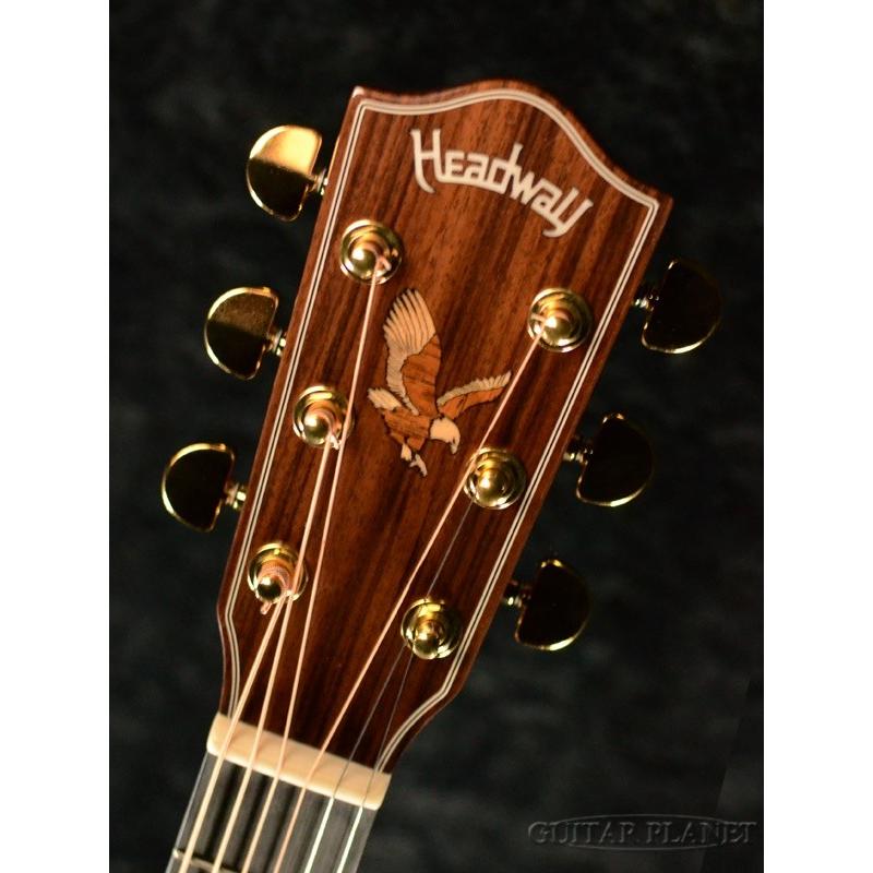 Headway Standard Series HJ-501 A,S/STD 《アコギ》 : ギター