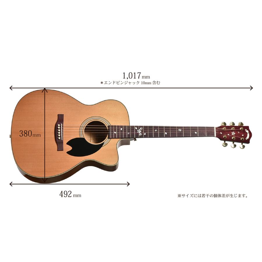 Headway HOC-SAKURA/JS 桜 アコギ エレアコ　ほぼ未使用 国産桜材が奏でる透明な音色！Headway 『HOC-SAKURA/JS』 注目