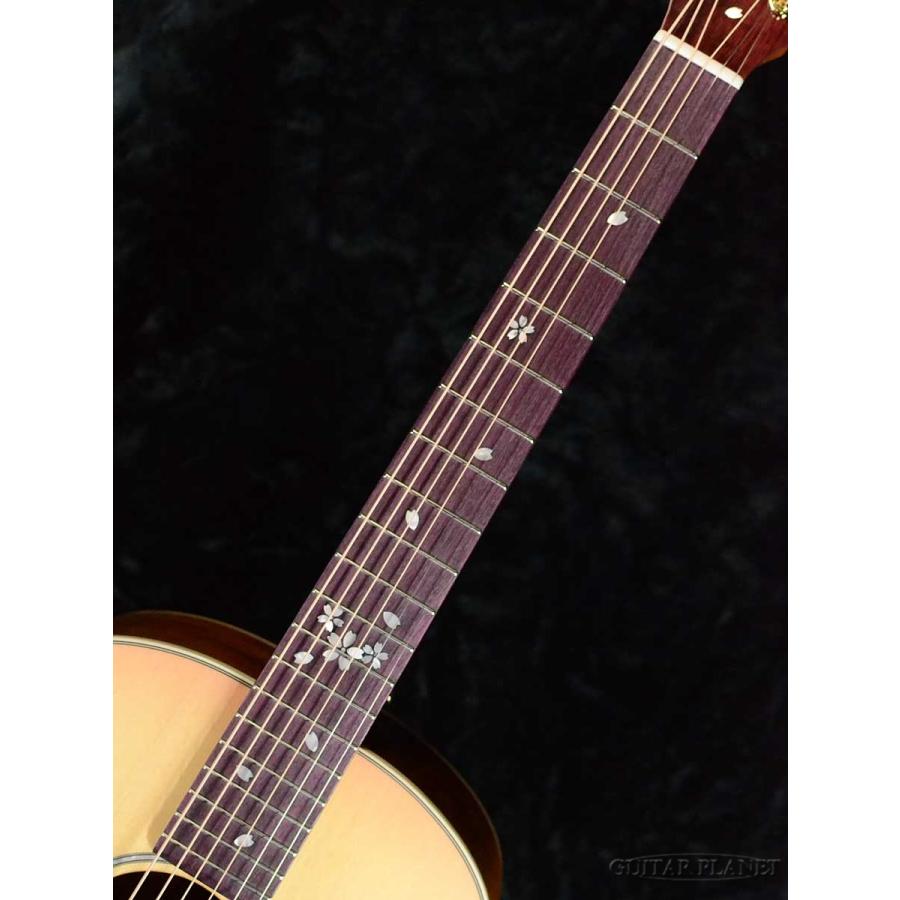 Headway Headway Japan Tune-Up Series HTJ-SAKURA 《アコギ