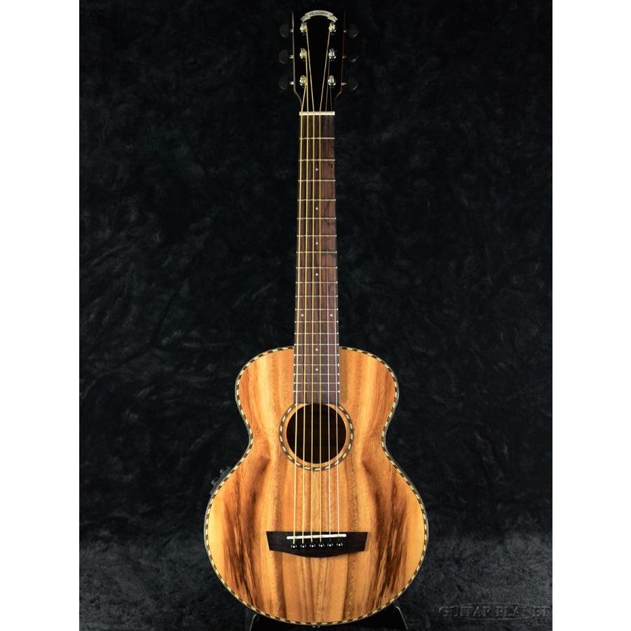 ヘッドウェイ・トラベルギター