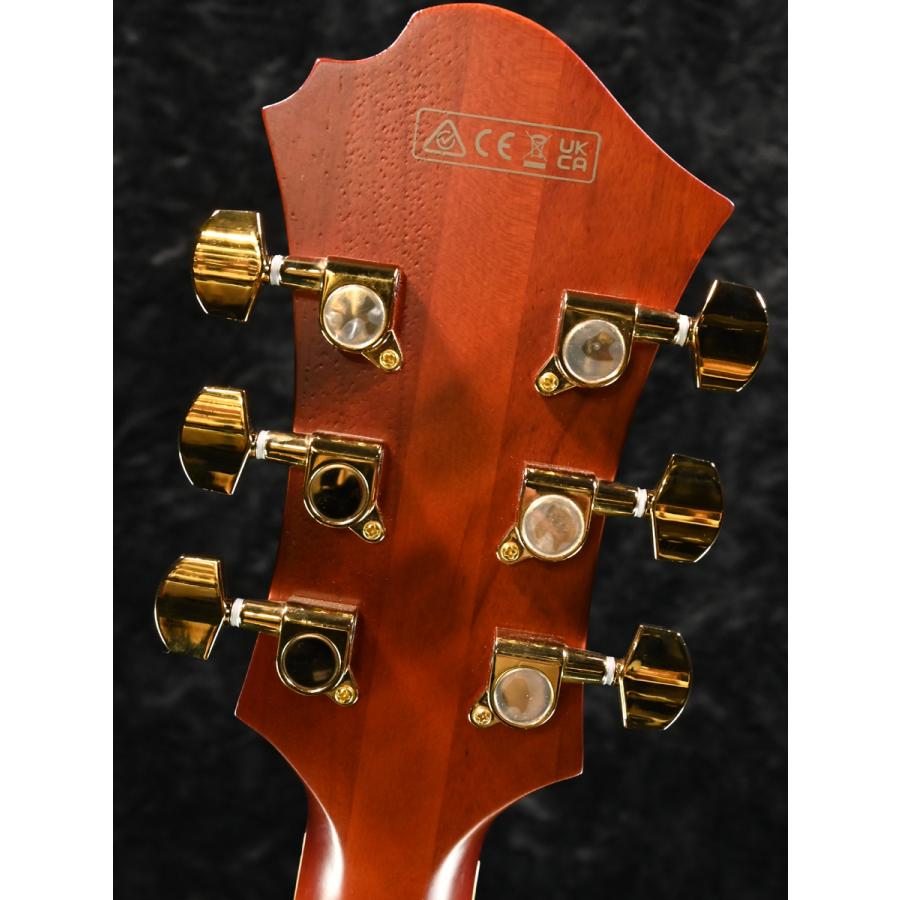 Ibanez（アイバニーズ） Ibanez PM3C -NAL(Natural Amber Low Gloss