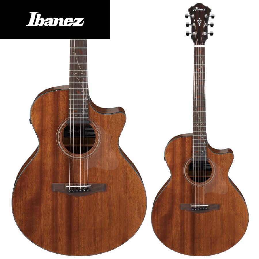 Ibanez（アイバニーズ） Ibanez AE295 - LGS ( Natural Low Gloss