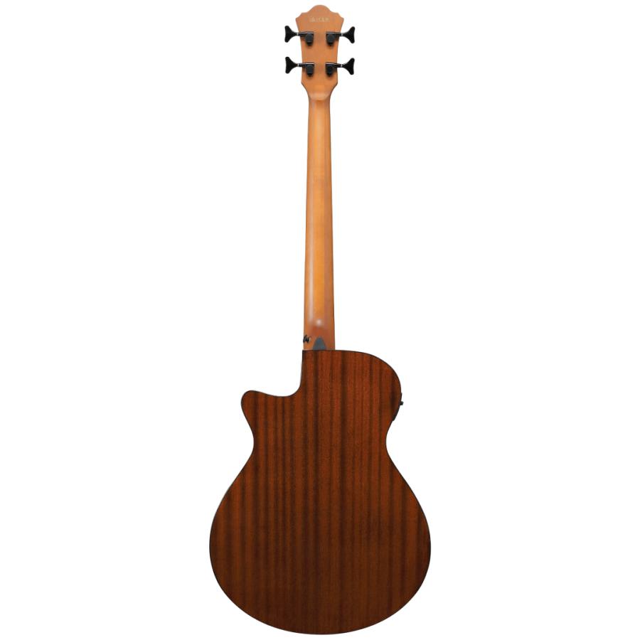 Ibanez（アイバニーズ） Ibanez / AEGB25E-TKH 新品《アコースティック