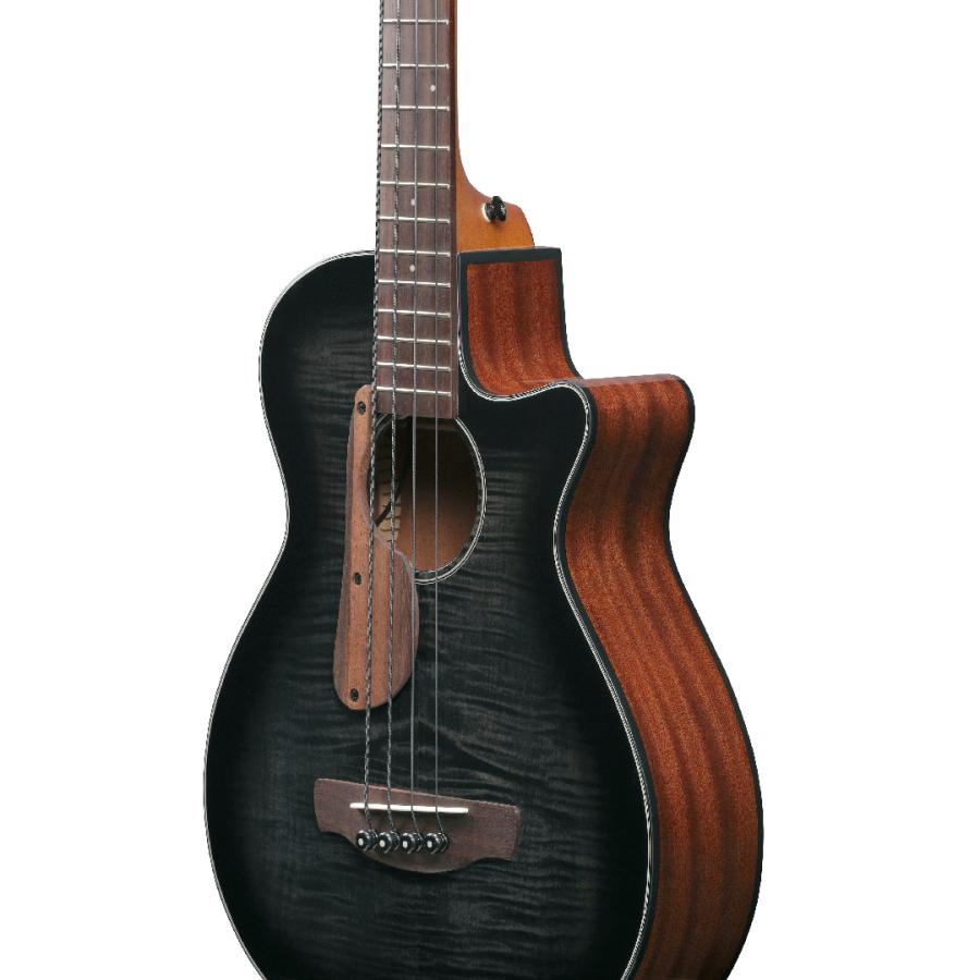 Ibanez（アイバニーズ） Ibanez / AEGB25E-TKH 新品《アコースティック