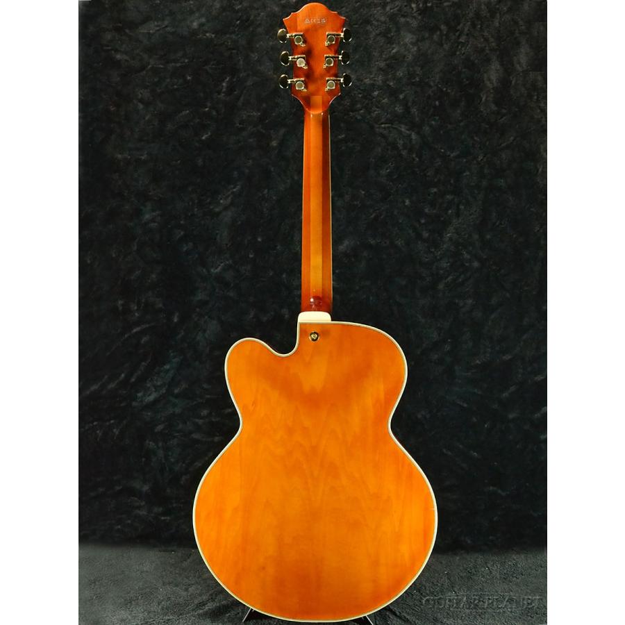 アコースティックギター Celebrity Elite Mid Depth Body Black CE44-5