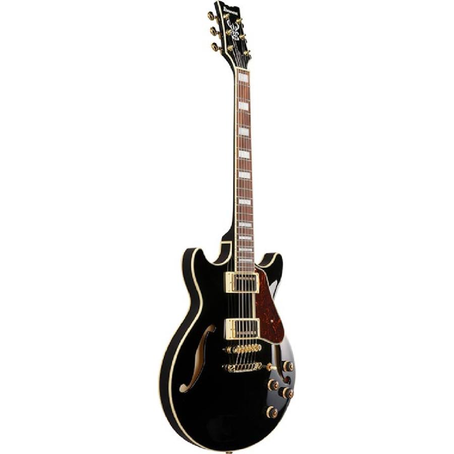 Ibanez（アイバニーズ） 【スポット生産!!】 Ibanez / AM73G-BK (Black