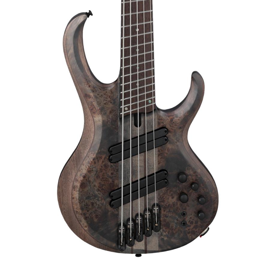Ibanez（アイバニーズ） Ibanez BTB805MS -TGF (Transparent Gray Flat
