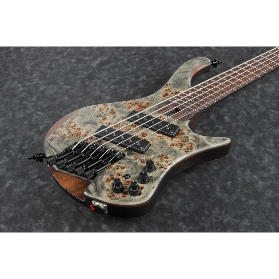Ibanez（アイバニーズ） 【限定生産モデル】Ibanez EHB1505MS -BIF