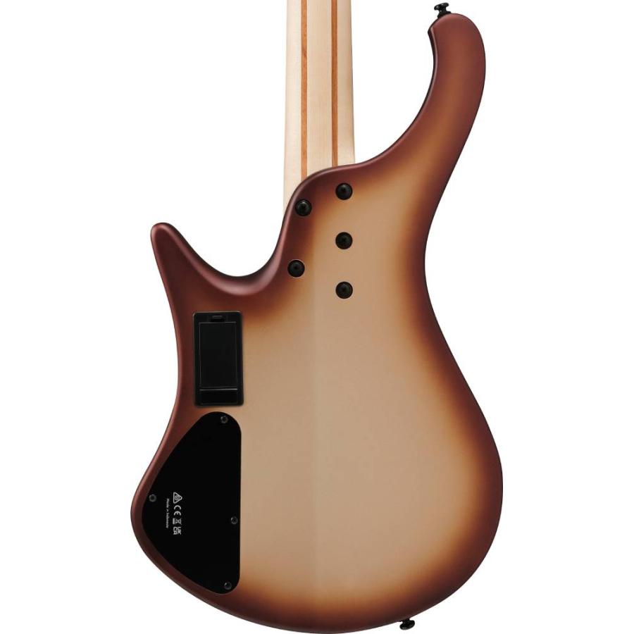 Ibanez / EHB600 -CCM (Charred Champagne Burst Matte)-《ベース》 新品_3