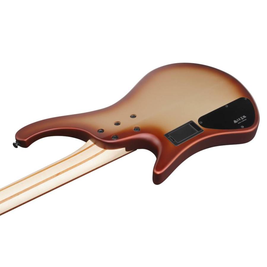 Ibanez / EHB600 -CCM (Charred Champagne Burst Matte)-《ベース》 新品_5