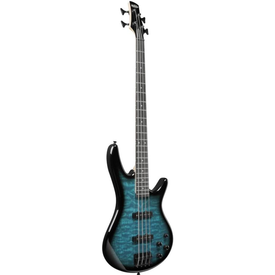 Ibanez（アイバニーズ） Ibanez GSR280QA TMS 《ベース》 : ギター