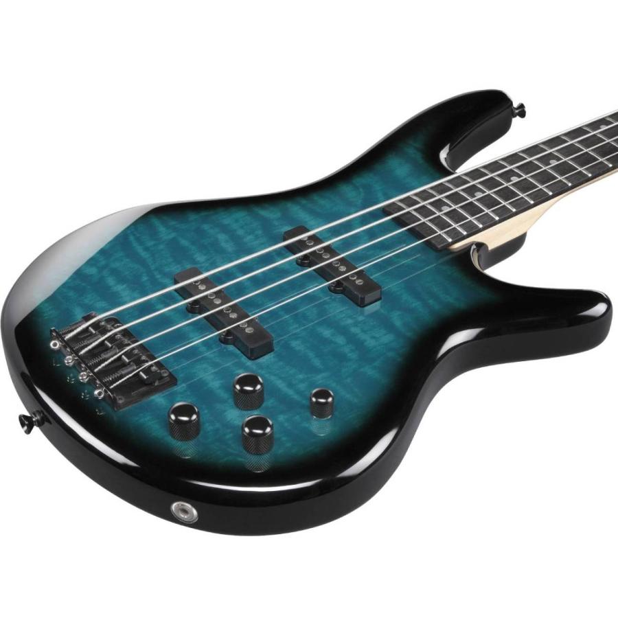 Ibanez（アイバニーズ） Ibanez GSR280QA TMS 《ベース》 : ギター