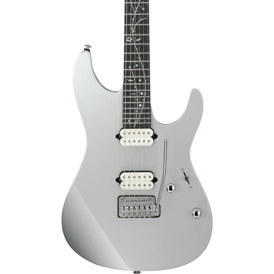Ibanez tod10と付属品セット Amazon | Ibanez Tim Henson Signature Model Silver TOD10