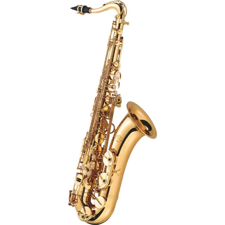 J.Michael TN-900 テナーサックス《木管楽器》 : ギタープラネット
