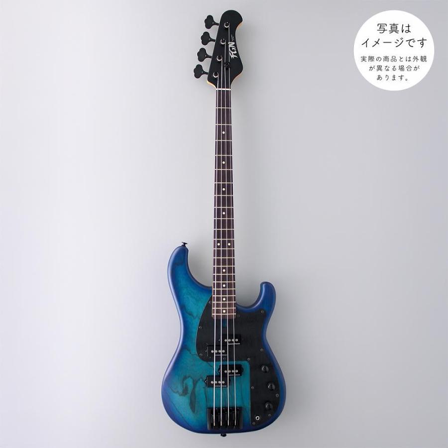 FUJIGEN（フジゲン） FUJIGEN(FGN) J-Standard Series Mighty Power
