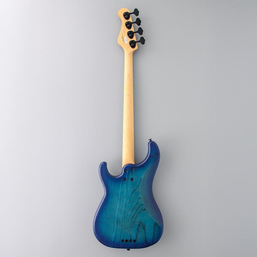 FUJIGEN（フジゲン） FUJIGEN(FGN) J-Standard Series Mighty Power