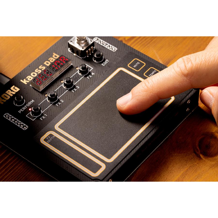KORG（コルグ） KORG NTS-3 kaoss pad -PROGRAMMABLE EFFECT KIT