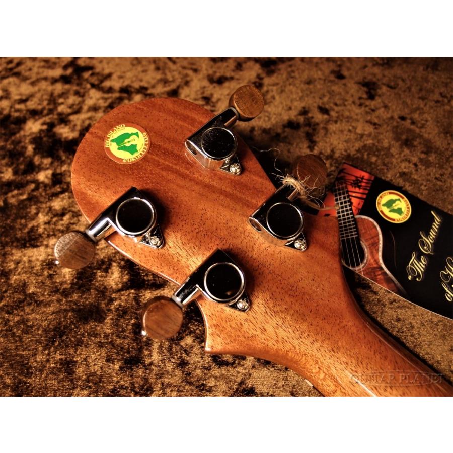 ハワイアンコア】Big Island KT-CTS《コンサートウクレレ》 : ギター