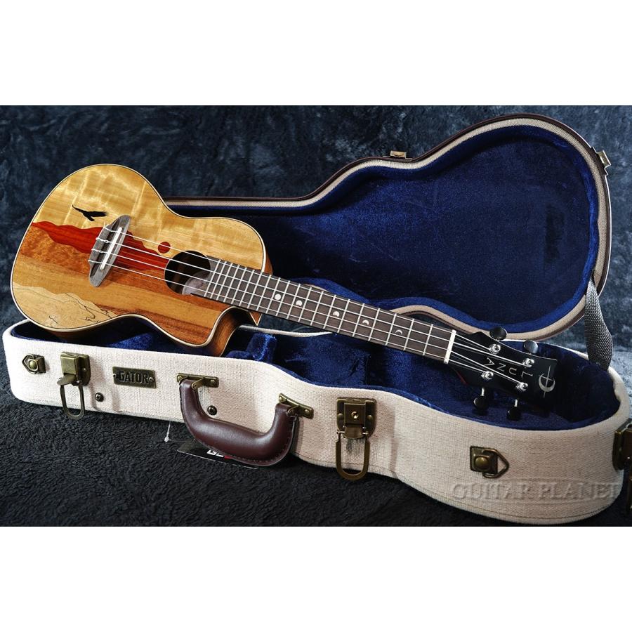 ハードケース付!!》Luna Ukulele Vista Eagle Concert with Fishman  