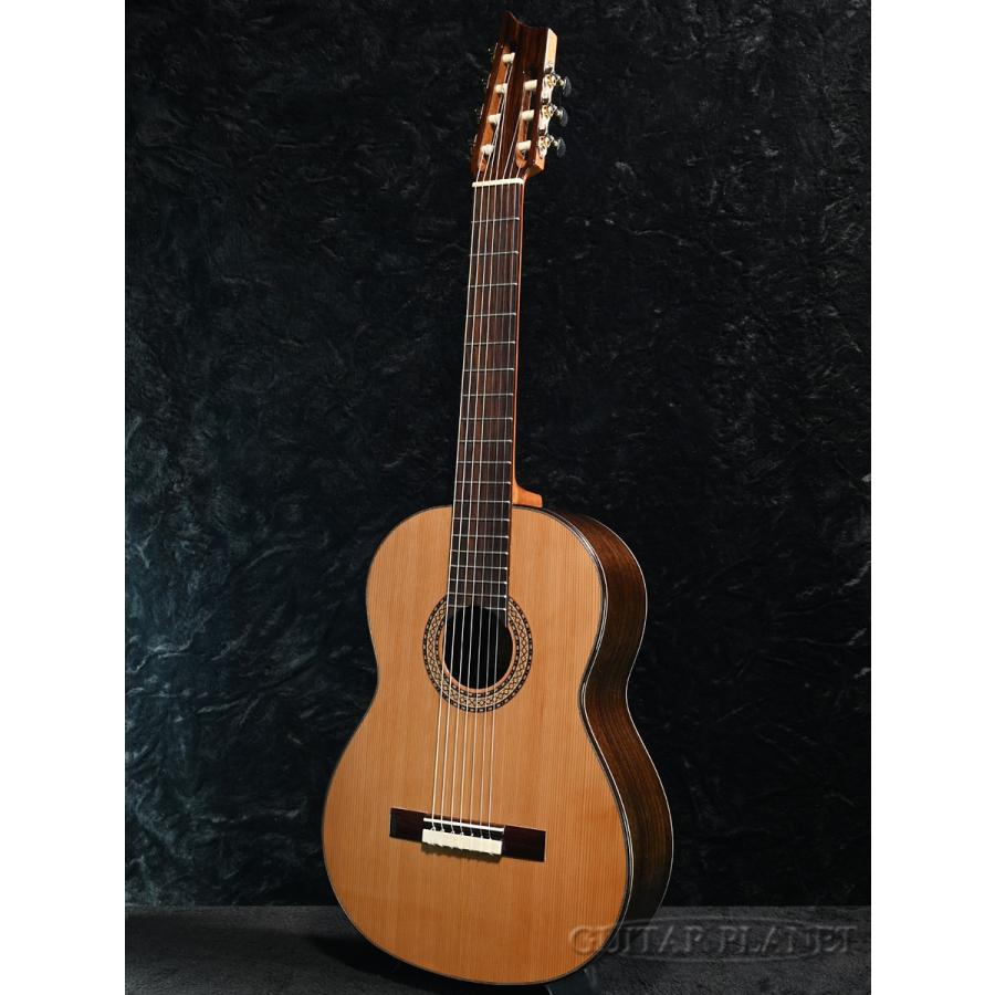 7弦】Martinez MC-7C / 7-Strings 新品《クラシックギター》 : ギター