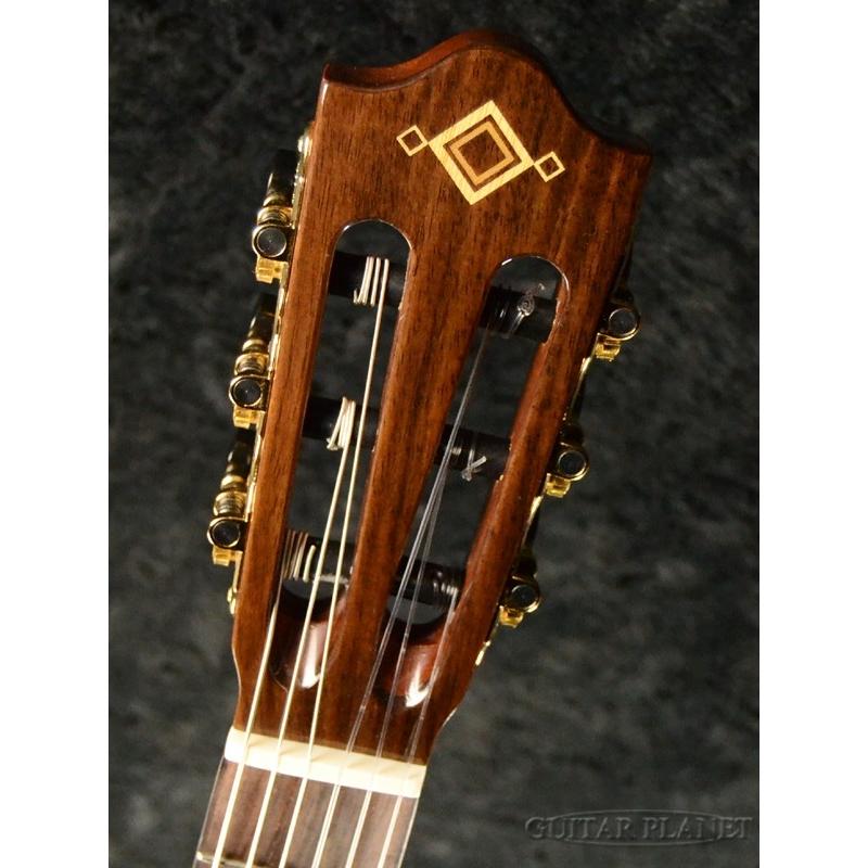 Martinez MP-14Rose 松/ローズウッド《アコギ》 : ギタープラネット