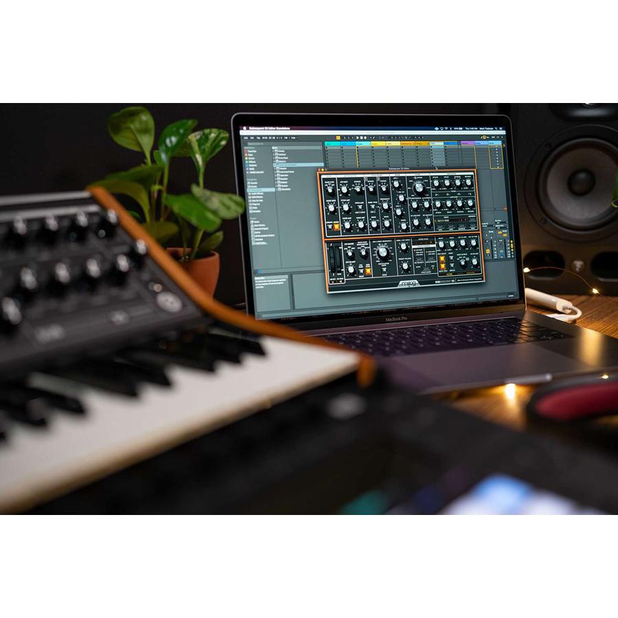 《送料込》 Moog Subsequent 25 アナログシンセサイザー 【SKC3400919302】(120032円)