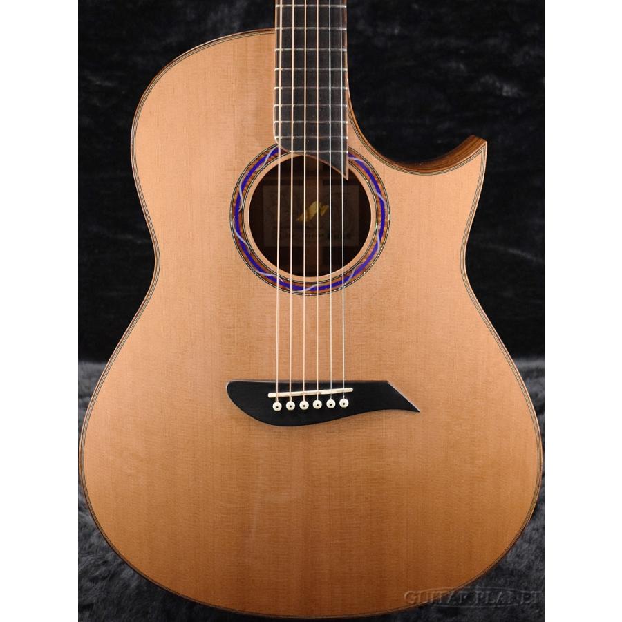 MORRIS M - 603 アコギ[日本製] / FISHMAN AG094 Amazon | Morris (モーリス) アコースティックギター F-LTDII NAT 日本