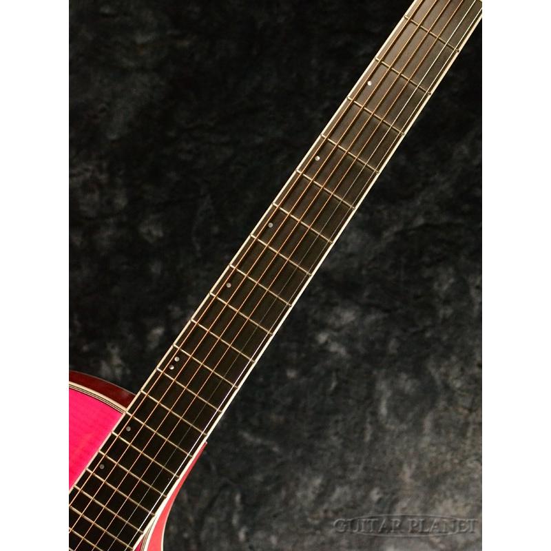 ★Morris　アコースティックギター★モーリス★ Morris 生産完了品・現品限り Morris(モーリス) / M-103