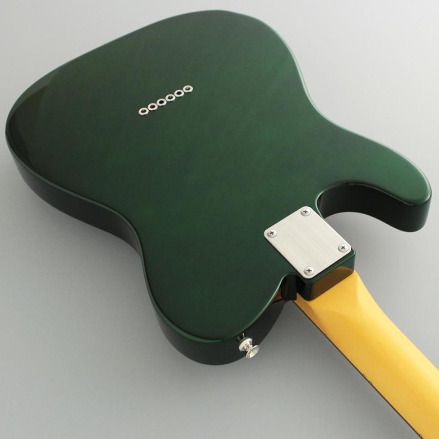 FUJIGEN（フジゲン） FgN(FUJIGEN) Neo Classic NTE Series NTE100RAL