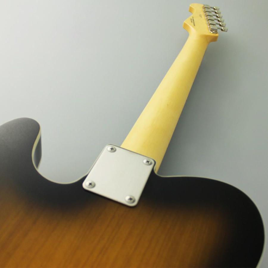 FUJIGEN（フジゲン） FUJIGEN Neo Classic NTE Series NTE21RAH -2TS