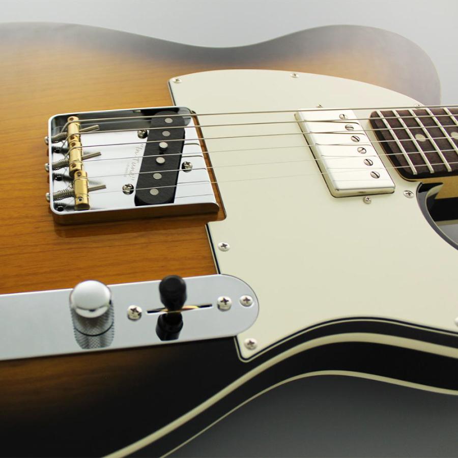 FUJIGEN（フジゲン） FUJIGEN Neo Classic NTE Series NTE21RAH -2TS