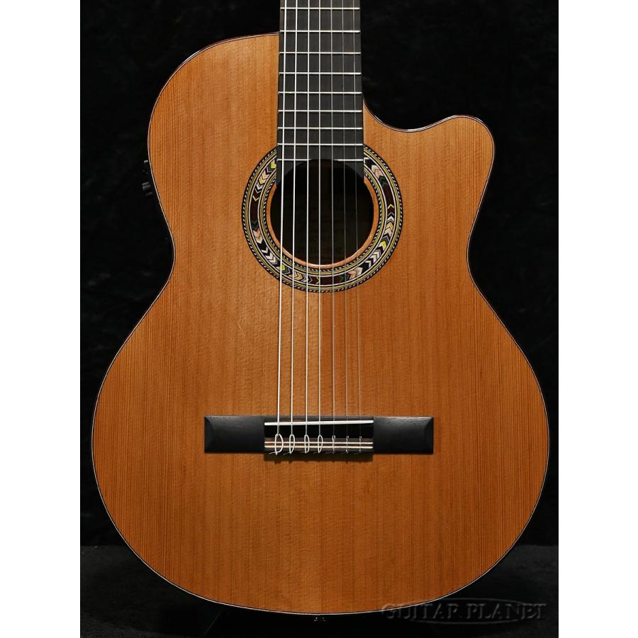 オルフェウス・ヴァレー・ギターズ F65CW-7S ７弦 エレガット セミハードケース付き!!】Orpheus Valley Guitars F65CW-7S《7弦