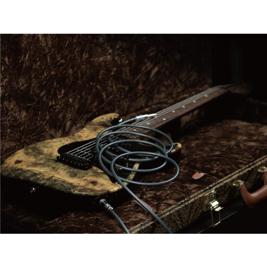 オヤイデ電気 NEO Ecstasy Cable 5.0m S/S │ シールドケーブル