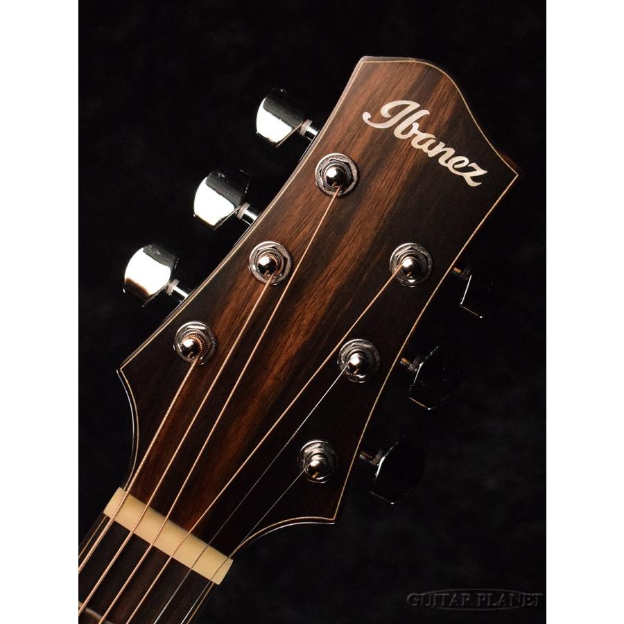 Ibanez（アイバニーズ） Ibanez PA300E -NSL(Natural Satin Top