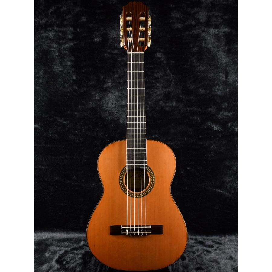 ARIA PEPE PS-48 Spain製　クラシックギター ソフトケース付き ARIA Aria Pepe PS-48 PEPE PS-48 Spain製 クラシックギター ソフト