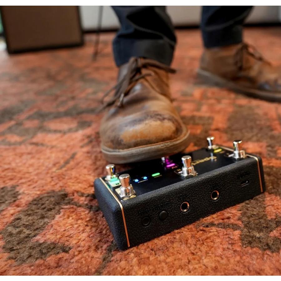 Positive Grid / Spark Control X 新品《ワイヤレス・フットスイッチ