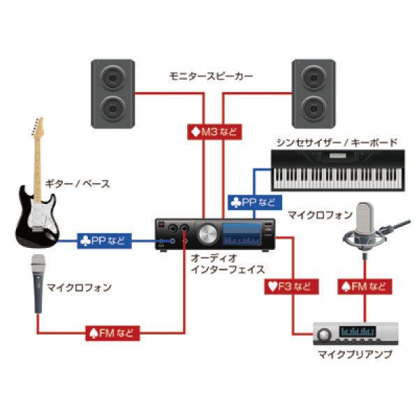 Providence AiS-FM-2.0m PLATINUM LINK │ オーディオ・インターフェイス用ケーブルの画像