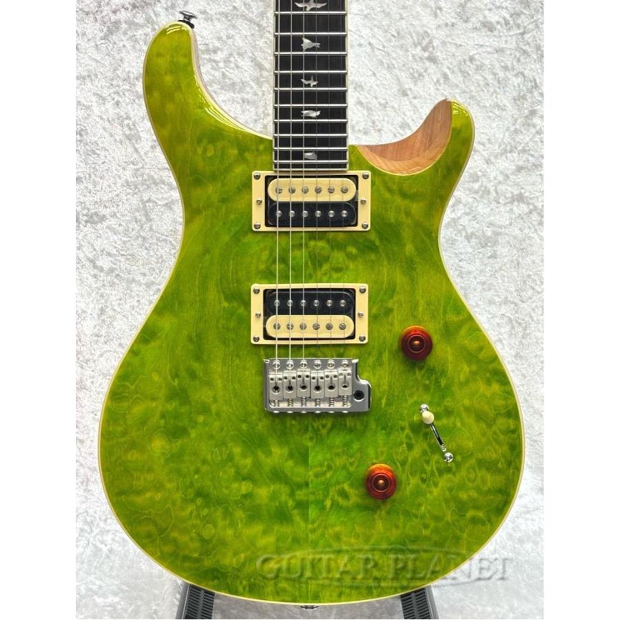 Paul Reed Smith / SE Custom 24 Quilt Package -Eriza Verde-《エレキ