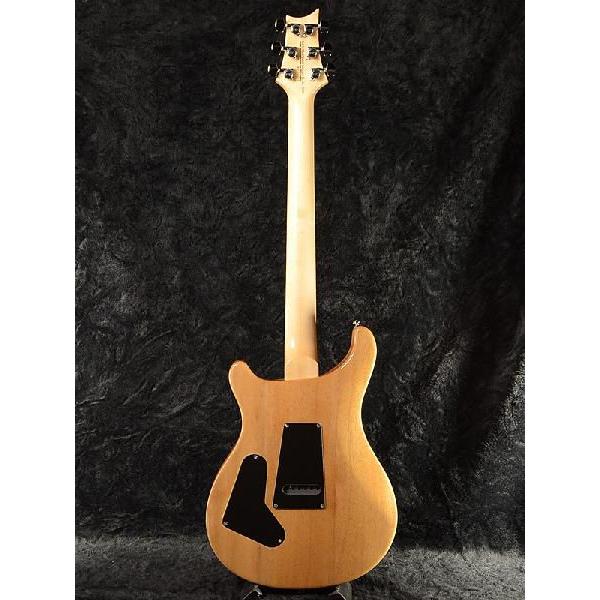 Paul Reed Smith SE Custom 24 with Birds & Beveled Maple Top