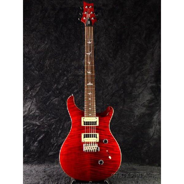 Paul Reed Smith SE Custom 24 with Birds & Beveled Maple Top Quilt