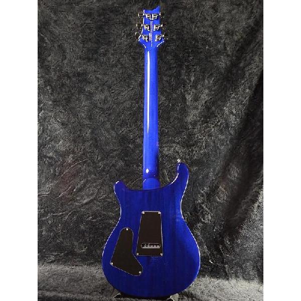 Paul Reed Smith SE Custom 24 with Birds & Beveled Maple Top
