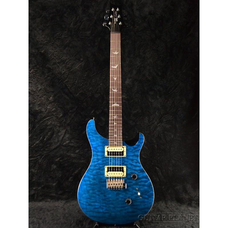 Paul Reed Smith SE Custom 24 with Birds & Beveled Quilt