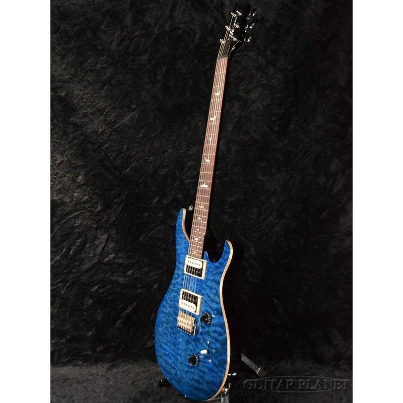Paul Reed Smith SE Custom 24 with Birds & Beveled Quilt Maple Top 