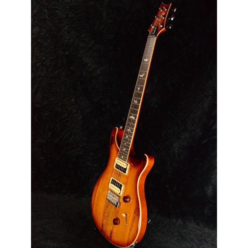 ギター PRS SE Custom 24 Spalted Maple PRS SE Custom 24 Spalted Maple (2018) - Guitar Compare
