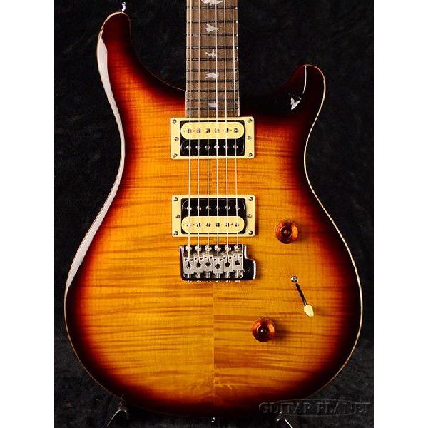 Paul Reed Smith SE Floyd Custom 24 with Birds & Beveled Maple Top