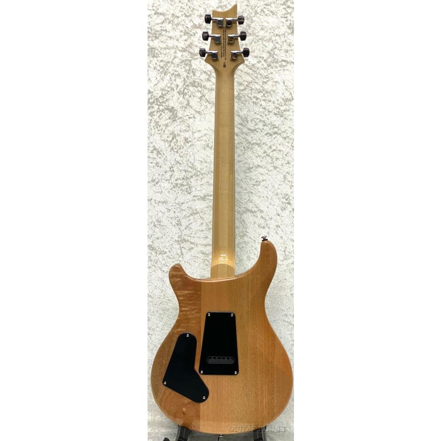 Paul Reed Smith（ポールリードスミス） Paul Reed Smith / SE Custom