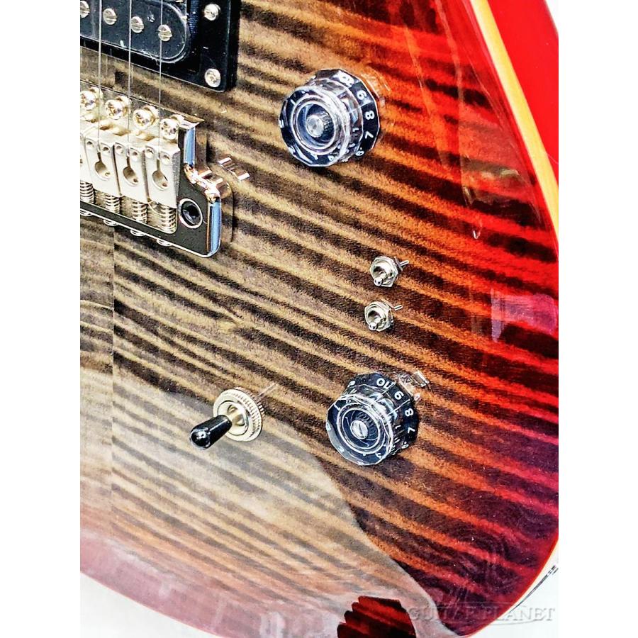 Paul Reed Smith（ポールリードスミス） Paul Reed Smith / SE Custom